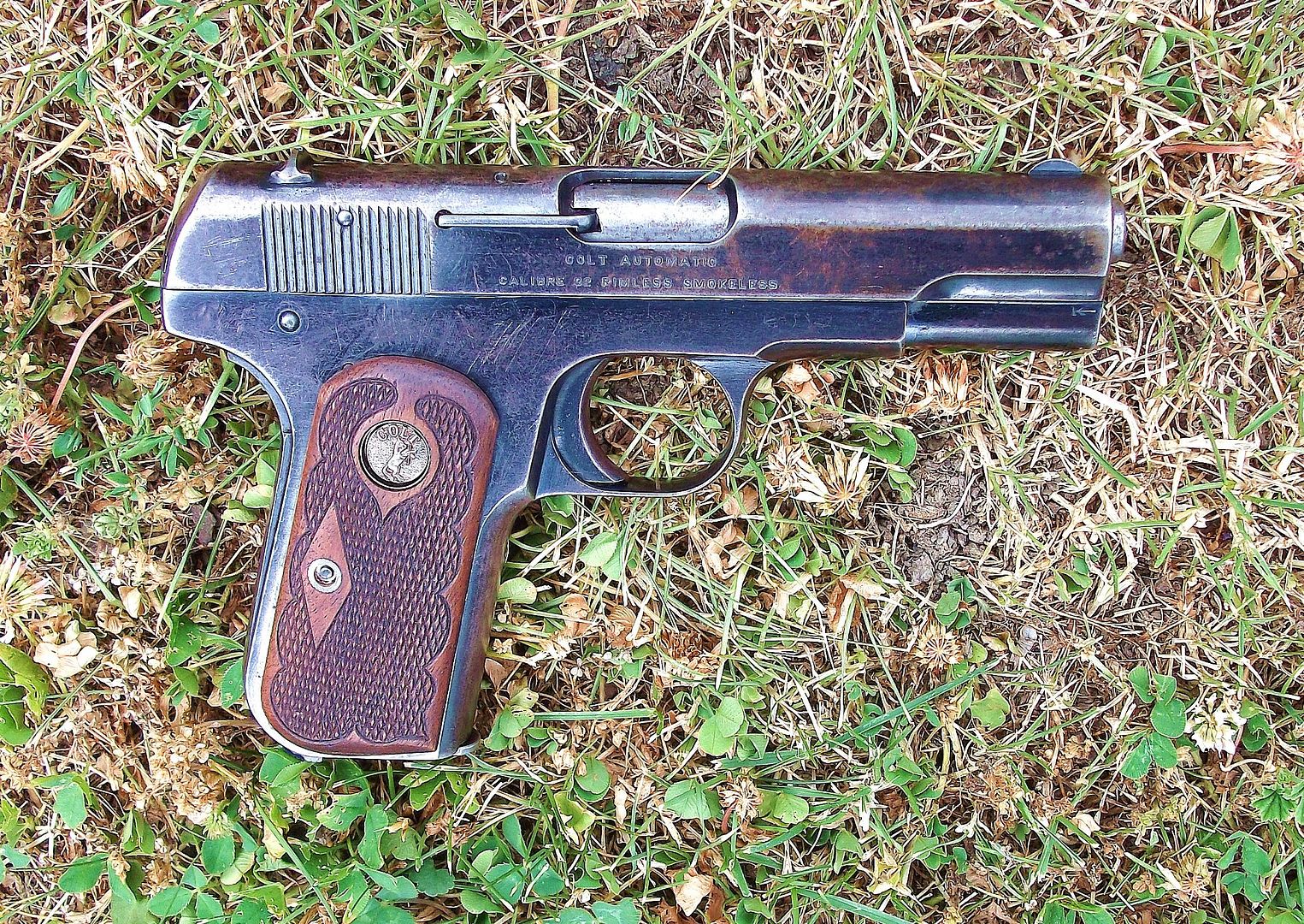 Gunbroker responds to me griping about smaller pictures in the new