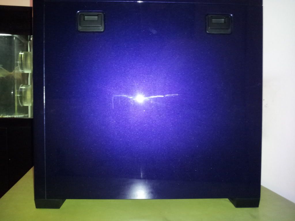 2011-07-08205927.jpg