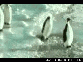 penguin-slap-o.gif