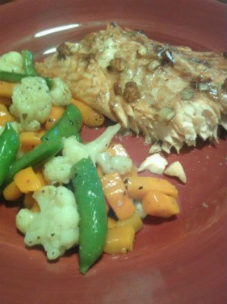 salmonandveggies_zps4342d04d.jpg