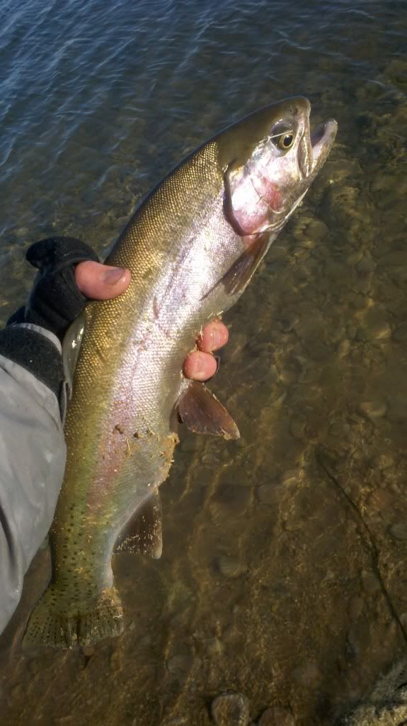 [Image: 2012-11-21_09-19-02_969.jpg]