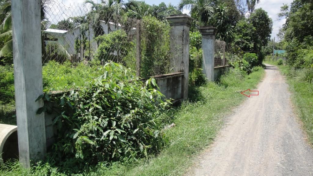 đất & bán nhà xã Tân Phú Trung, huyện Củ Chi. Thuận lợi xây dựng nhà ở, kinh doan - 10