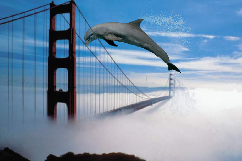 DolphinJumping_zps0c715d42.png
