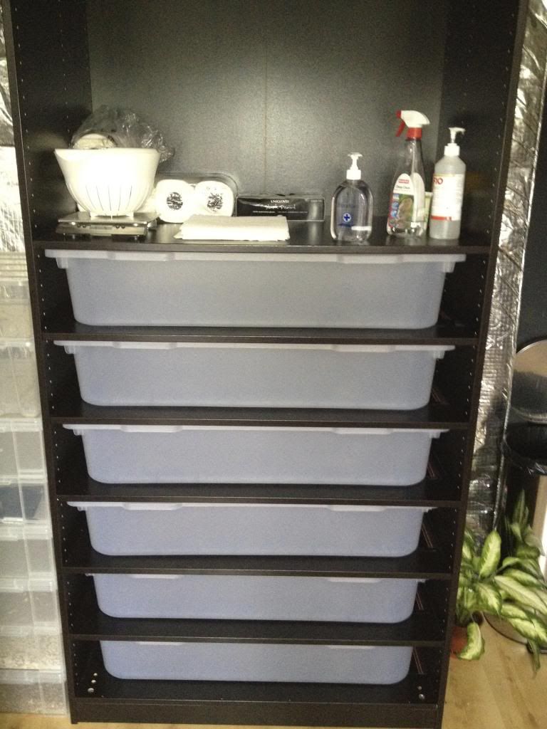 Lidless ikea rack?? Reptile Forums