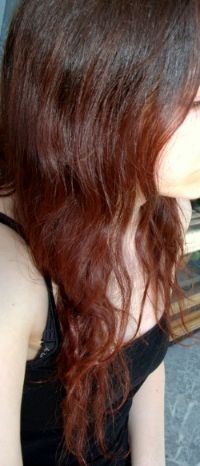 The Long Hair Community Discussion Boards