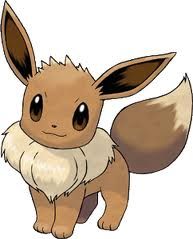 Eevee Eevee