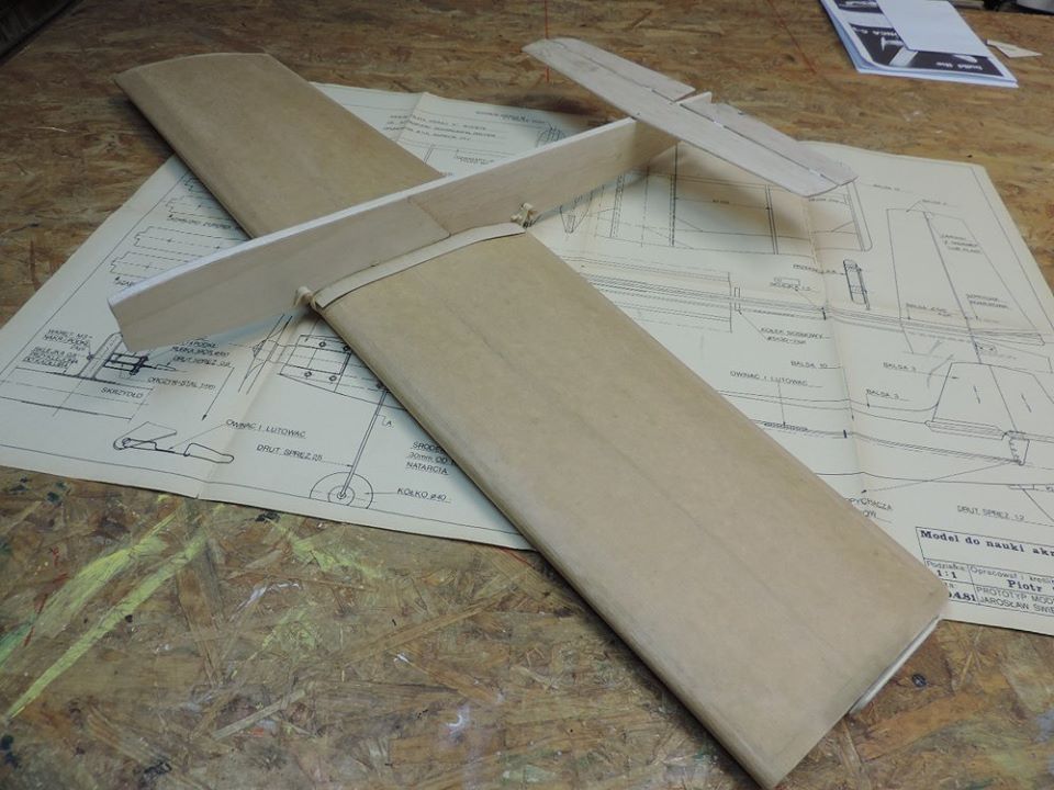 12687932_545788602255136_594790640243720