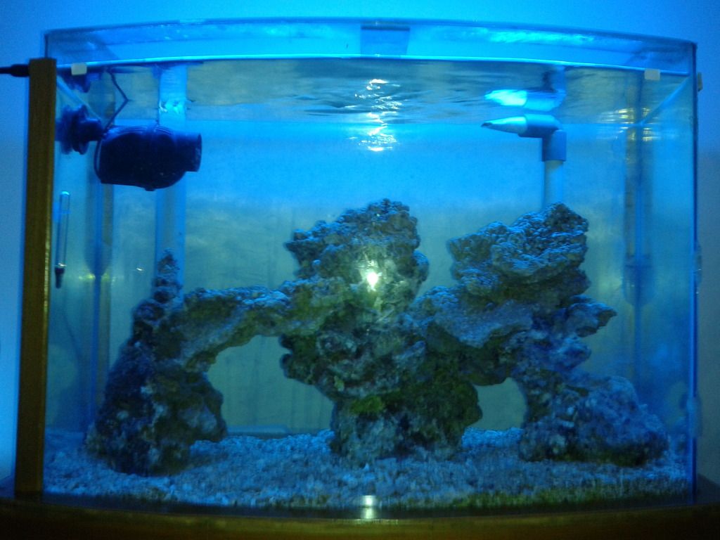 2012-09-25202339_zps1779cb69.jpg