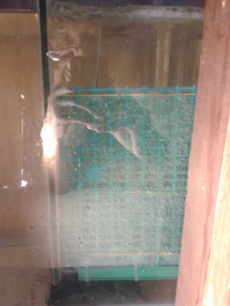 2012-09-26210020_zps69ca99b4.jpg