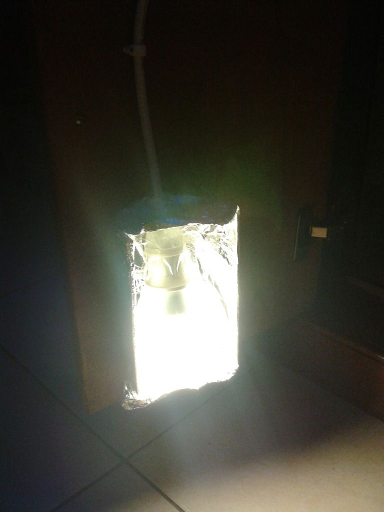 2012-09-26212948_zps0325f88b.jpg