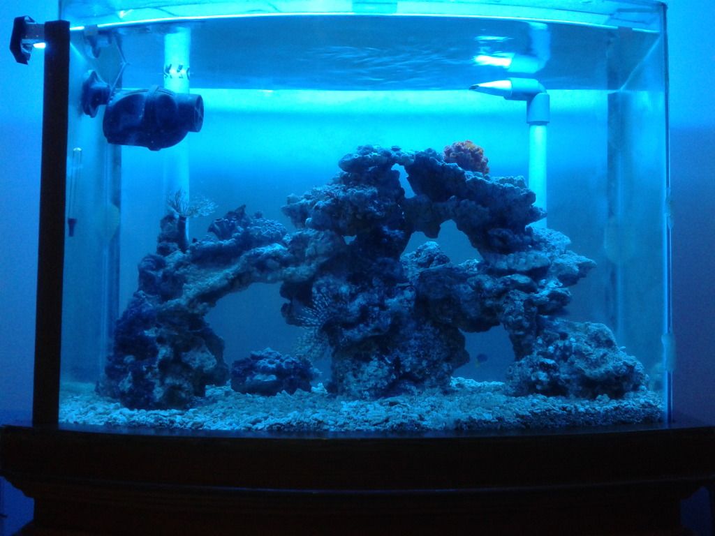 CameraZOOM-20121011222920578_zps75b59eba.jpg