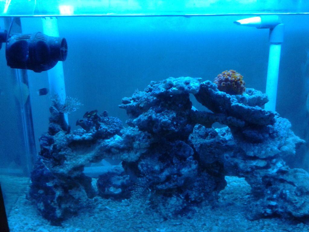 CameraZOOM-20121011222950142_zpsef46f074.jpg