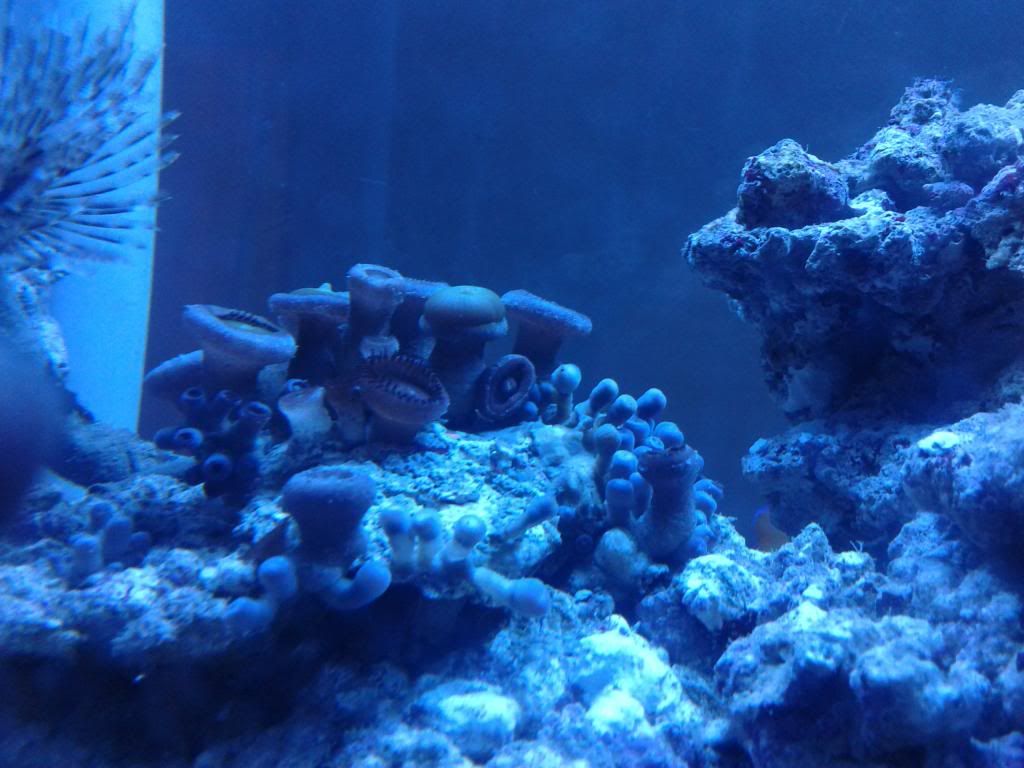 CameraZOOM-20121015180216784_zps4ded1ac0.jpg