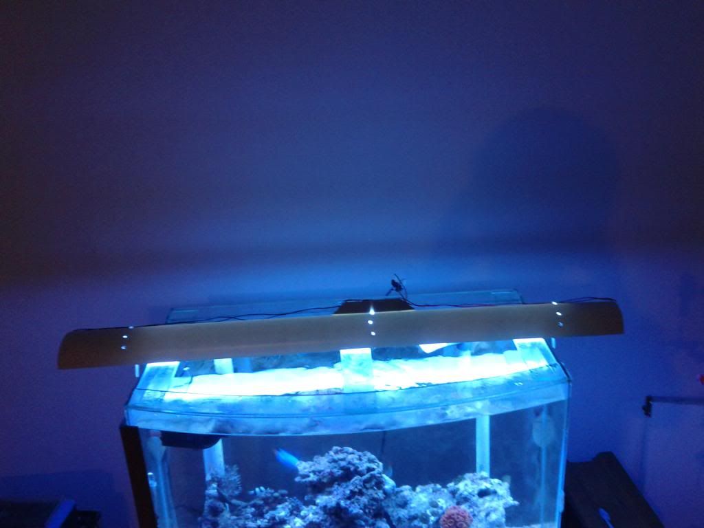 CameraZOOM-20121015180248087_zps6b17e1c6.jpg