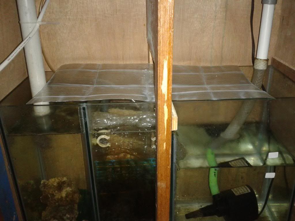 CameraZOOM-20121015181424994_zps60a7f80f.jpg