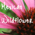 Mexican Wildflower