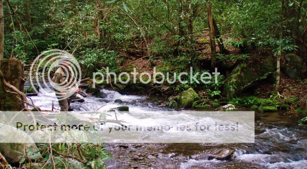 photo BrianAnthonyCreek_zpscd57fdb8.jpg