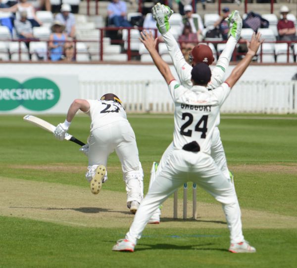 https://i1152.photobucket.com/albums/p490/cricketphotos1/Cricket%20Photos/2019%20Somerset%20Cricket%20Photos/Specsavers%20County%20Championship%202019/Somerset%20v%20Surrey%20starting%2014th%20May%202019/Mark%20Stoneman%20lbw%20shout.jpg